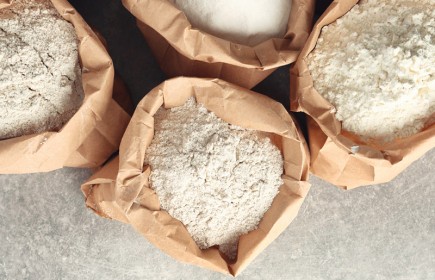 Dry substance content (DS content)
